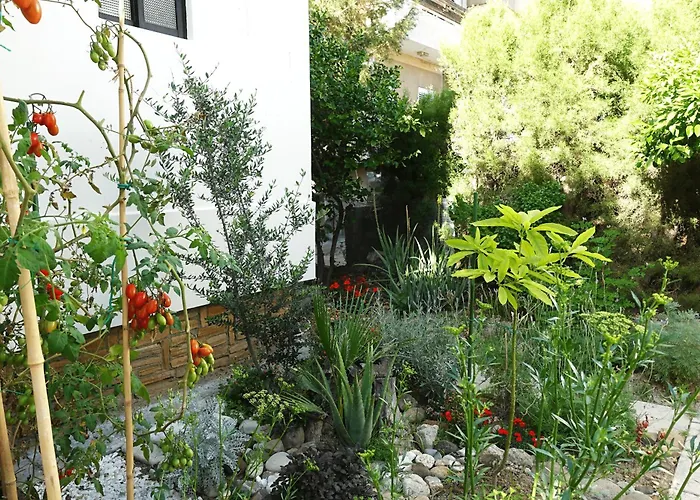 Πανσιόν Under The Palms Λευκωσία