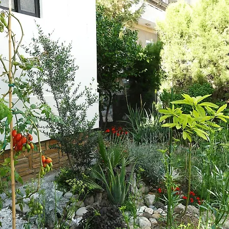 בית הארחה Under The Palms ניקוסיה